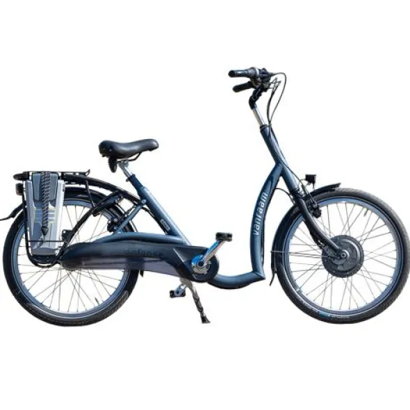 Van Raam Balance 2 lage instap tweewielfiets