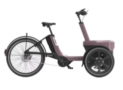 Van Raam Thuja driewielfiets